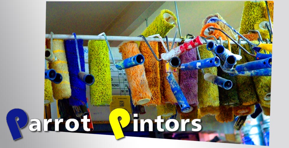 Benvinguts a la plana web de Parrot Pintors